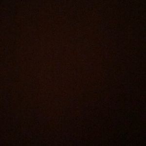 Meet your Posher, Ally